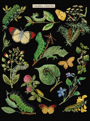 click here to view larger image of Caterpillars & Butterflies (counted cross stitch kit)