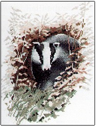 click here to view larger image of Badger (chart)