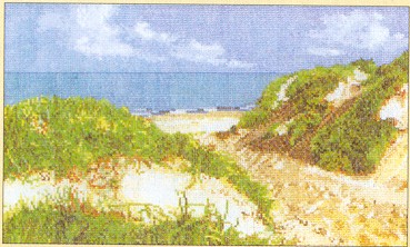 click here to view larger image of Seascape - Sand Dunes - Linen (counted cross stitch kit)