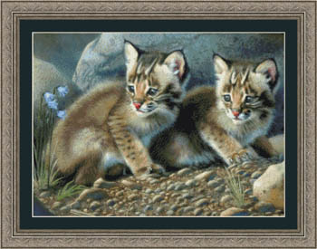 click here to view larger image of Bobcat Kittens (chart)