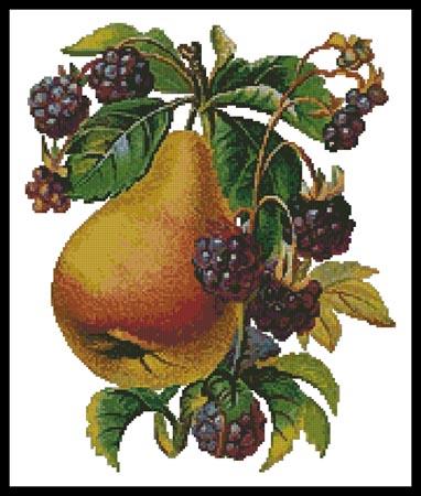 click here to view larger image of Pear and Blackberries (chart)