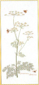 click here to view larger image of Bees And Queen Ann's Lace (counted cross stitch kit)