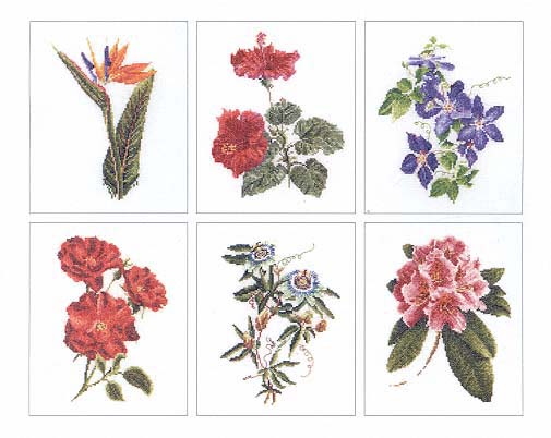 click here to view larger image of Flowers IV- 6 Designs (Floral Study 1) - Linen (counted cross stitch kit)