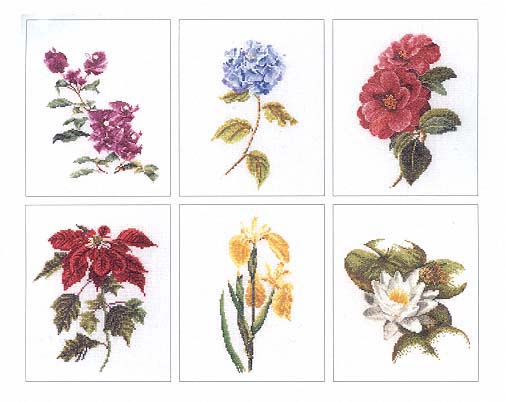 click here to view larger image of Flowers II - 6 Designs (Floral Study 7) - Linen (counted cross stitch kit)
