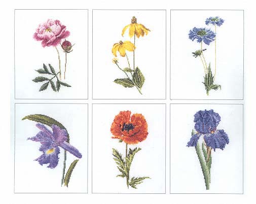 click here to view larger image of Flowers I - 6 Designs (Floral Study 5) - Linen (counted cross stitch kit)