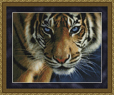 click here to view larger image of Blue Eyes (Tiger) (chart)