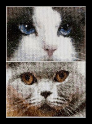 click here to view larger image of Cats - Smokey and Bleu - Aida (counted cross stitch kit)