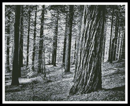 click here to view larger image of Black and White Forest (chart)