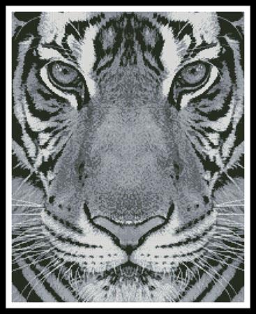 click here to view larger image of Bengal Tiger (Black and White) (chart)