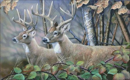 click here to view larger image of Blackberry Vines White Tail Deer (chart)