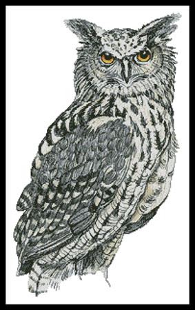 click here to view larger image of Eurasian Eagle Owl (Claire Harkness) (chart)
