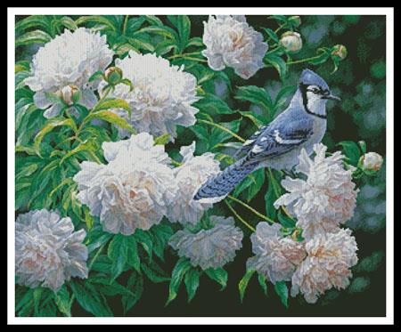 click here to view larger image of Blue Jay in Peonies (chart)