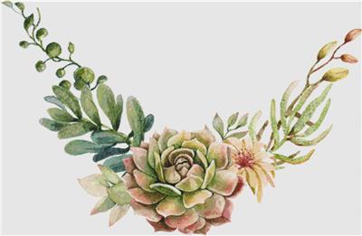 click here to view larger image of Arrangement Of Succulents II (chart)