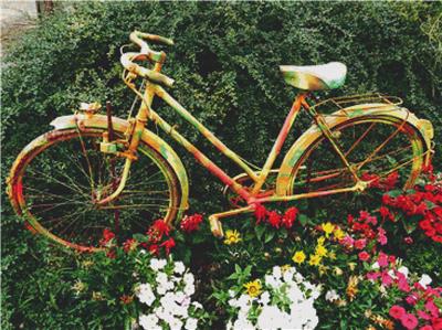click here to view larger image of Floral Bicycle (chart)