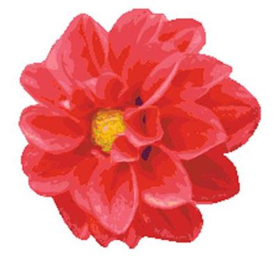 click here to view larger image of Dahlia (chart)