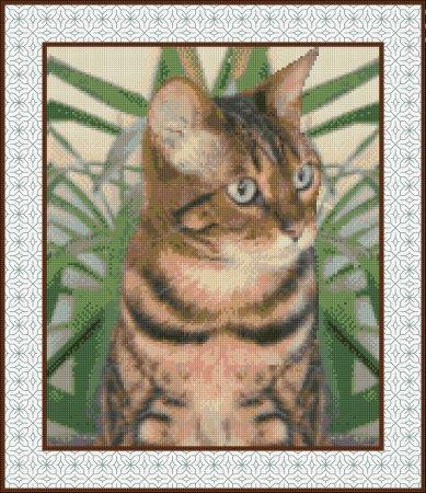 Bengal Cat - click here for more details about chart