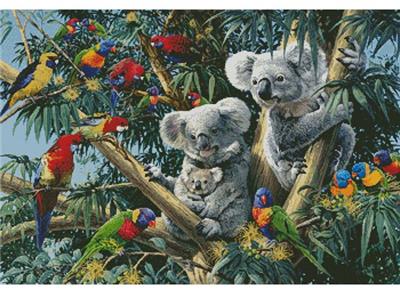 click here to view larger image of Koala Outback (chart)