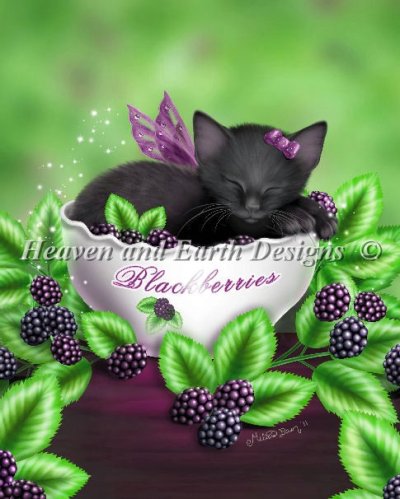 Blackberry Kitten/Mini - Melissa Dawn - click here for more details about chart