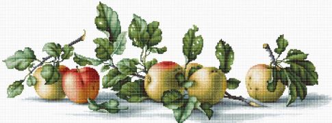 click here to view larger image of Apples (counted cross stitch kit)