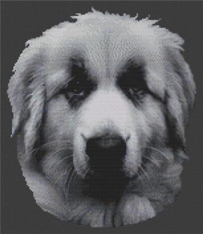 click here to view larger image of Great Pyrenees 2 (chart)
