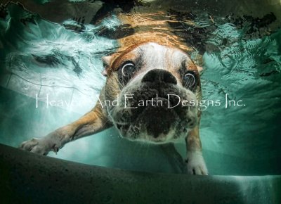 click here to view larger image of Beefy Water - Underwater Dogs (chart)