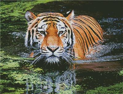 click here to view larger image of Tiger in Swamp (chart)