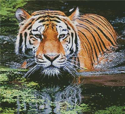 click here to view larger image of Tiger in Swamp (Crop) (chart)