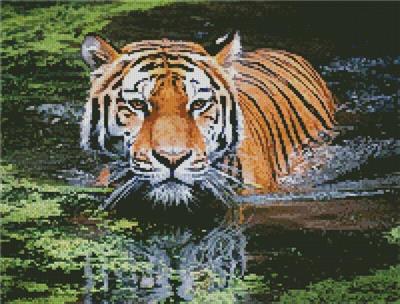 click here to view larger image of Tiger in Swamp/Mini (chart)