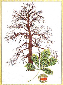 click here to view larger image of Chestnut Tree (counted cross stitch kit)