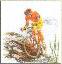 click here to view larger image of Biking (counted cross stitch kit)