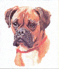 click here to view larger image of Dog Portrait - Aida (counted cross stitch kit)